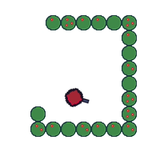 Arena 481