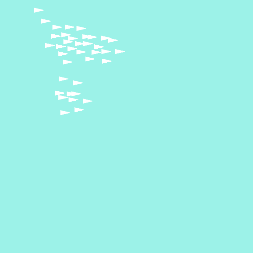 Boid Test
