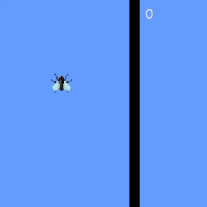 Wiper Fly