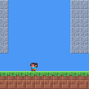 Manual Camera Borders