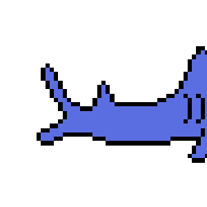 The Life of a shark 