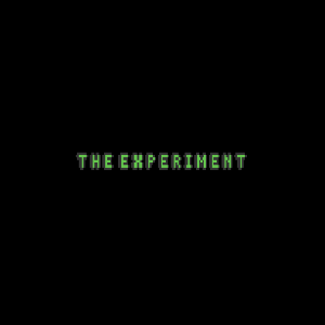 The Experiment