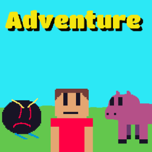 Insured ADVENTURE